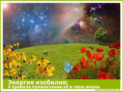 Прекрасное цветочное поле и Вселенная
